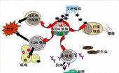 重新認(rèn)識(shí)我們?nèi)祟惖慕】?/></a>
          <strong><a href=